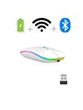 QASUL 2.4GHz Kablosuz Çalışma Fare USB Şarj Edilebilir LED lamba RGB Fare Sessiz Ergonomik Dilsiz Fare Aydınlatmalı Dizüstü PC Ipad