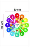Bizerk Görsel Eğitici Sağlıklı Beslenme Vitamin Çarkı Çocuk Odası Kreş Anaokulu Duvar Sticker Seti 