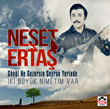 Neşet Ertaş Gönül Ne Gezersin Seyran Yerinde/ Iki Büyük Nimetim Var - Plak