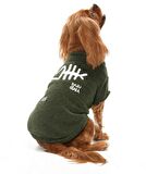 Küçük ve Orta Irk Köpek Kazak - Lalit Yeşil
