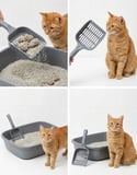 Kedi Kumu Eleği (Küçük Delikli) | İnce Taneli Kumlar İçin Özel Filtreleme | Hızlı, Kolay ve Hijyenik