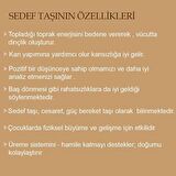 Gümüş Sedef Ve Turkuaz Taş Yonca Bileklik