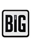Big Think Logolu