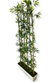 BAMBU SEPERATÖR 175 CM 6 ADET BAMBU 72 CM BEYAZ SAKSI