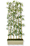 BAMBU SEPERATÖR 175 CM 6 ADET BAMBU 72 CM BEYAZ SAKSI