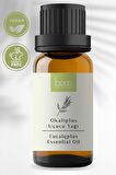 %100 Saf Okaliptus Uçucu Yağı (Eucalyptus Globulus)