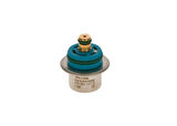 Bosch 0280160607 Basınç Regülatörü 