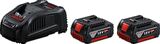 Bosch PROFESSİONAL 2 X GBA 18V 5.0AH + GAL 1880 CV