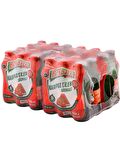Beypazarı Karpuz Çilek Aromalı Maden Suyu 200 Ml X 24 Adet