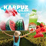 Beypazarı Karpuz Çilek Aromalı Maden Suyu 200 Ml X 6 Adet