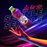 Beypazarı Karadut Frenk Üzümü Maden Suyu 200 Ml X 24 Adet