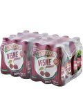 Beypazarı Vişne Aromalı Maden Suyu 200 Ml X 24 Adet