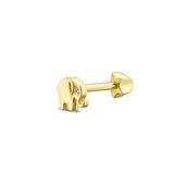 BARONİ Altın Fil Tragus Küpe