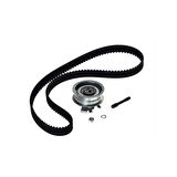 Volkswagen Passat Triger Seti (1996-2011) 1.6 06A198119