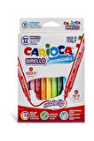 Birello Jumbo+standart Çift Uçlu Yıkanabilir Keçeli Boya 12 Renk