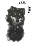 Geçici Kurt Figürlü Dövme Tattoo