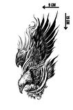 Geçici Kartal Figürlü Dövme Tattoo