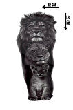 Geçici Aslan Figürlü Dövme Tattoo