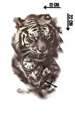 Geçici Aslan Figürlü Dövme Tattoo