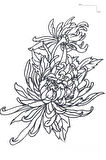 Lotus Çiçeği Figürlü 12 Saat Sonra Kararan Geçici Mini Dövme Tattoo