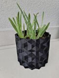 07 Geometrik Saksı Drenajlı Siyah - Saksılık