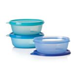 Tupperware Üç Şekerpare Saklama Kabı  600 Ml