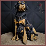 El Yapımı Rottweiler Köpek Figürü ve Yavruları – Ev Dekoru İçin Heykeli - Mükemel orijinal tasarım