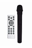BTS-1387 Karaoke Hoparlör Ses Sistemi Kablosuz Mikrofonlu 70 Watt 2x10 Inç Bluetooth Hoparlör Rgb Party Box