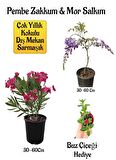 Pembe Zakkum Fidanı+Mor Salkım Ağacı Fidanı Buz Çiçeği Hediyeli Bahçe Peyzaj Seti