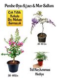 Pembe Oya Ağacı Fidanı+Mor Salkım Ağacı Fidanı Tül Kuşkonmaz Çiçeği Hediyeli Bahçe Peyzaj Seti