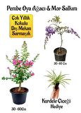 Pembe Oya Ağacı Fidanı+Mor Salkım Ağacı Fidanı Kurdele Çiçeği Hediyeli Bahçe Peyzaj Seti