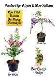 Pembe Oya Ağacı Fidanı+Mor Salkım Ağacı Fidanı Buz Çiçeği Hediyeli Bahçe Peyzaj Seti