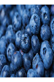 Videolu 1 Adet Lezzetli Yaban Mersini Fidanı 40-60 Cm Tüplü Iç Mekan Bitkileri Blueberry