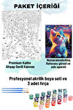 Sayılarla Boyama Seti Numaralı Tuval Fırça Boya Dahil Kasnaklı Set 50x70 Cm - RENKLİ KEDİ GÖKYÜZÜ