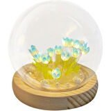 LED Işıklı Kendin Yap Lale Cam Küre