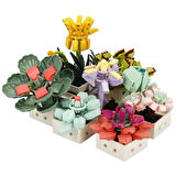 S00004685 BLX FLOWER SET SCULENT 971 PRÇ -SUN