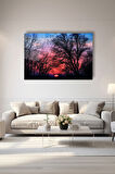 Dekoratif Duvar Tablosu Temperli Cam Tablo 72 x 46 cm
