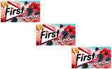 First Sensations Berry Hibiscus Böğürtlen ve Hibiskus Aromalı Şekersiz Tatlandırıcılı Sakız - 3'lü Paket