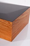 Humidor / Puro Saklama Kutusu Kahverengi - Siyah