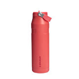 Stanley The IceFlow Bottle Flip Straw 2.0 1.06 L - (36OZ) Hot Coral