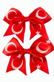 Ay Yıldız Fiyong Pens Toka 2 Adet
