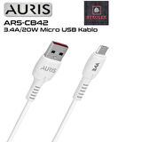 AURIS 3.4A / 20W USB / MİCRO ŞARJ VE DATA KABLOSU 