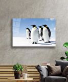  Penguen Hayvan Cam Tablo 4mm Dayanıklı Temperli Cam