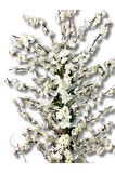 Beyaz Bahar Dalı 180 Cm 30x25 Gold Kemerli Siyah Saksı
