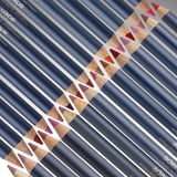 Aden Lipliner Pencil - Dudak Kalemi 62 Extreme Nude(Doğal Bej)