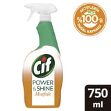 Sprey 750 ML Power & Shine Mutfak