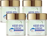 Kedi Otu Kremi 50 ml Kafur Ağacı Yağlı Paincream 4 Adet