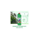 DOMESTOS Çamaşır Suyu Dağ Esintisi 806 gr 12'li Set