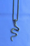 Yılan El İşçiliği Paslanmaz Çelik Zincir Erkek Kolye