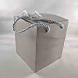 LED li Gümüş Fanus Ayıcık & Solmayan Gül Hediye Kutusu